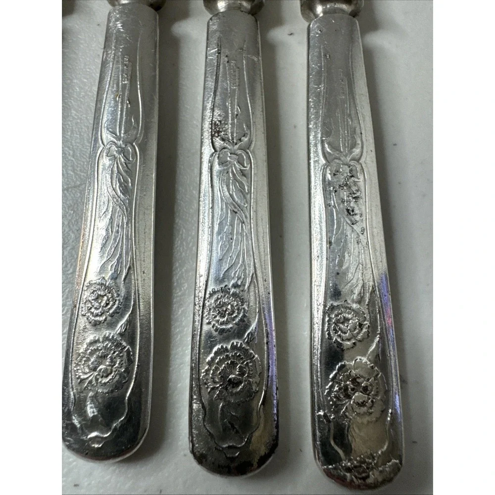 Oneida Silver Carnation Fruit Knife Silverplate Flaws